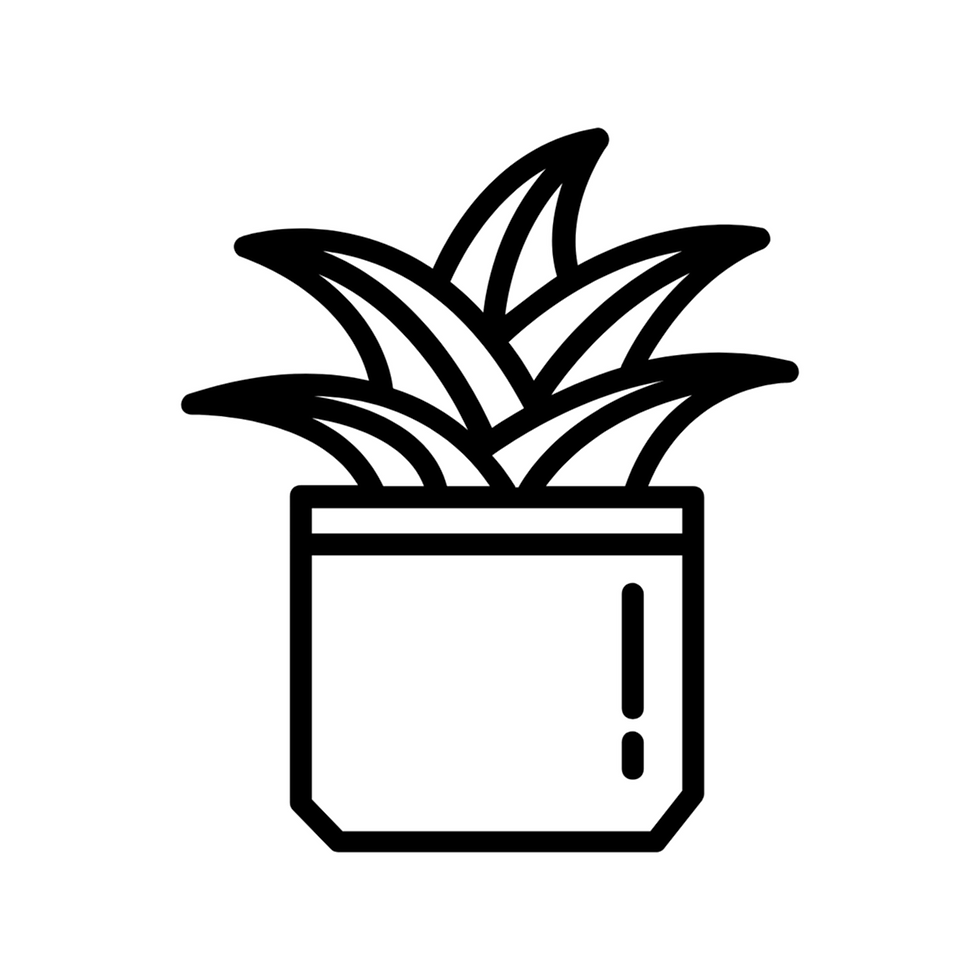 aloe-vera-thenoffice-black-transp