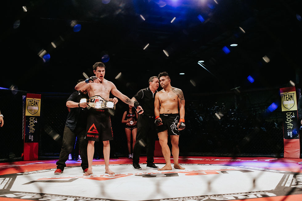 MMA Cage Fight