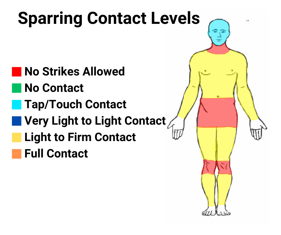 Sparring Rules at Ascend Martial Arts
