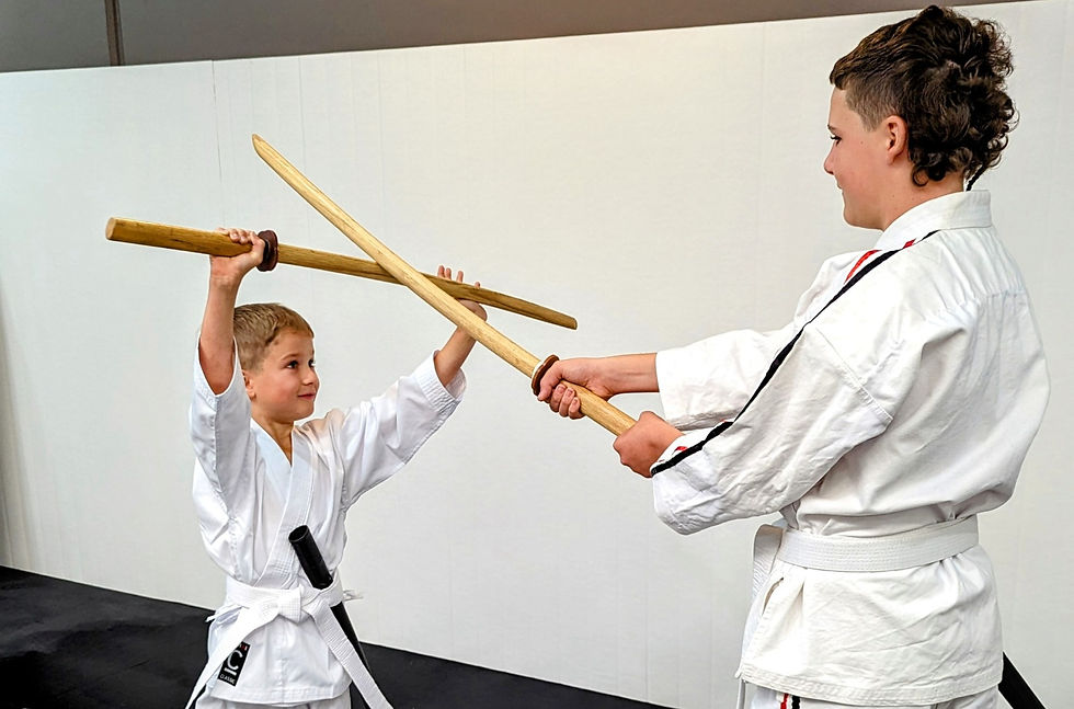 Karate Sword Kata