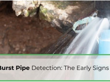 Best Practices for Burst Pipe Detection: A Homeowner's Guide