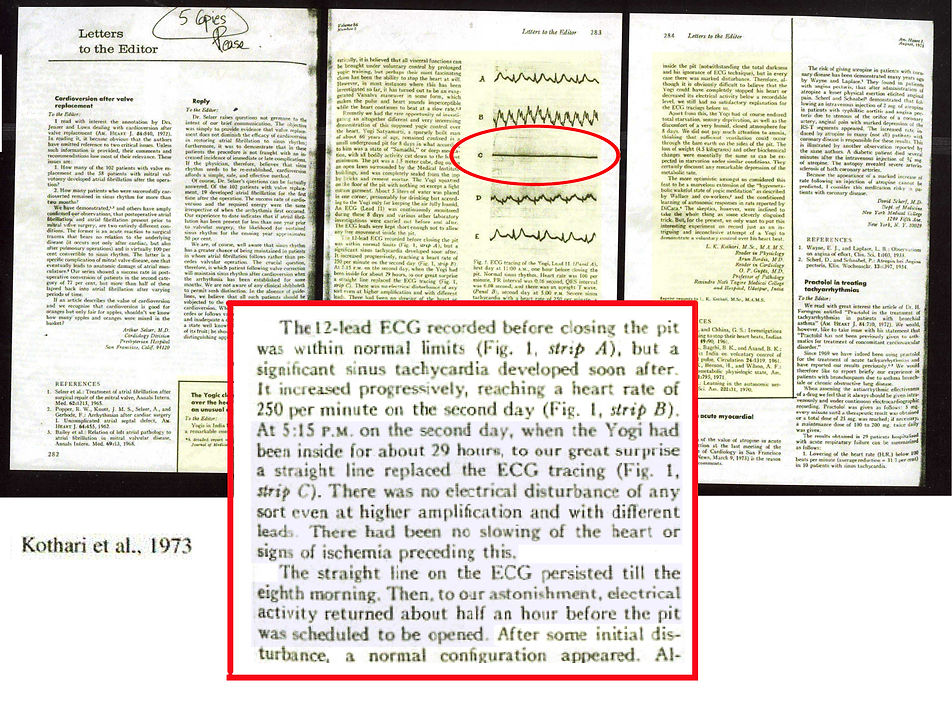 EXTRACT HIGHLIGHTED.jpg