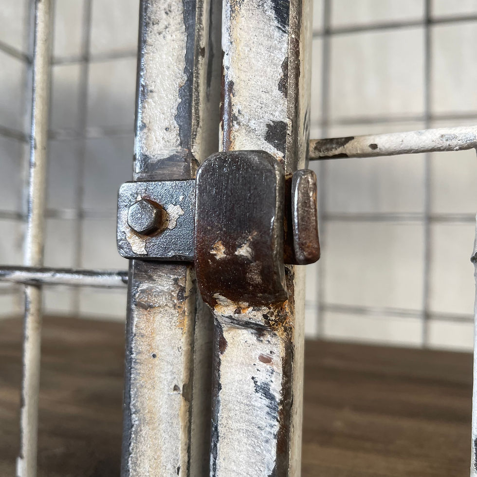 Thumbnail: Hoge trolley met deuren en witte patina 