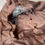 Thumbnail: Vintage leather bag 50s