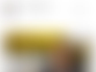 Reeves has learnt nothing from her last Budget