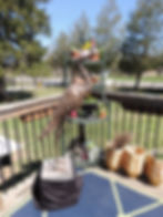 Escarpment Tea Room