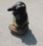 Rocky the Penquin