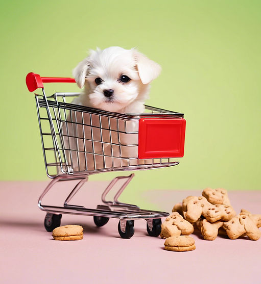 maltese puppy pushing shopping cart full of puppy treats.jpg