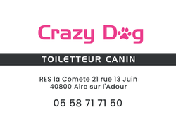 Crazy dog