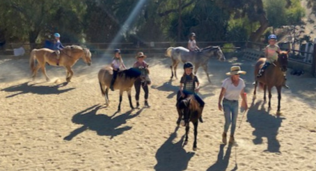 Summer Fun - Horse Camp 2024