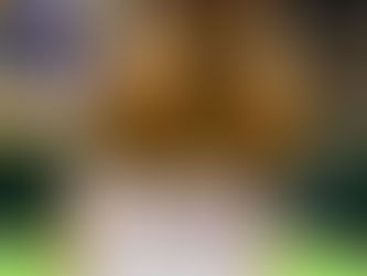 Reflection of the year gone by ...