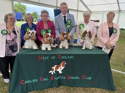 Awards West of England CKCS