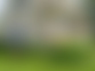 Will Soft Washing Chemicals Kill My Plants or Grass