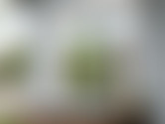 how do I clean my windows without leaving streaks