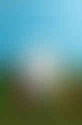 close-up of art installation