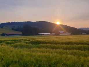 20210616_054708.jpg