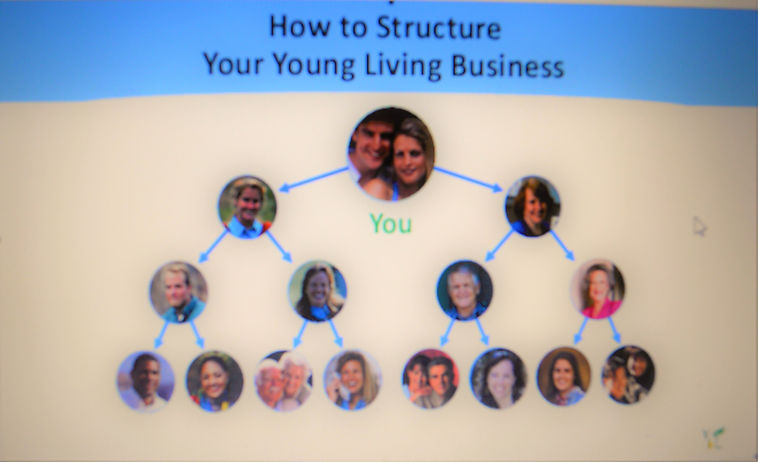 EM YL team structure 1.jpg