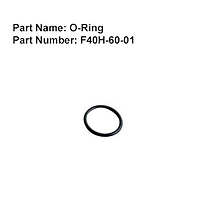 O-Ring - F40H-60-01