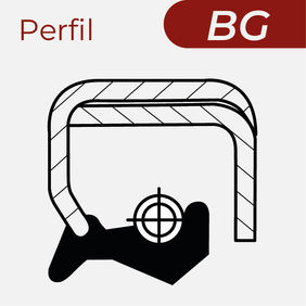 Retentor perfil BG