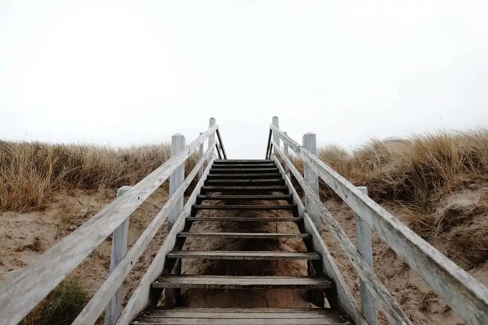 GRIFFOX_ Business_Management_Consulting_Coaching_power_of_professional_coaching.webp