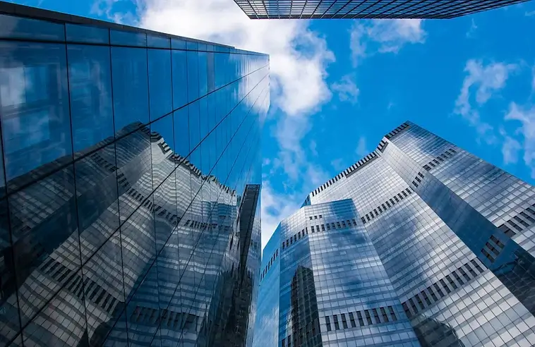 Vision & Goal of Organizational Change Management
