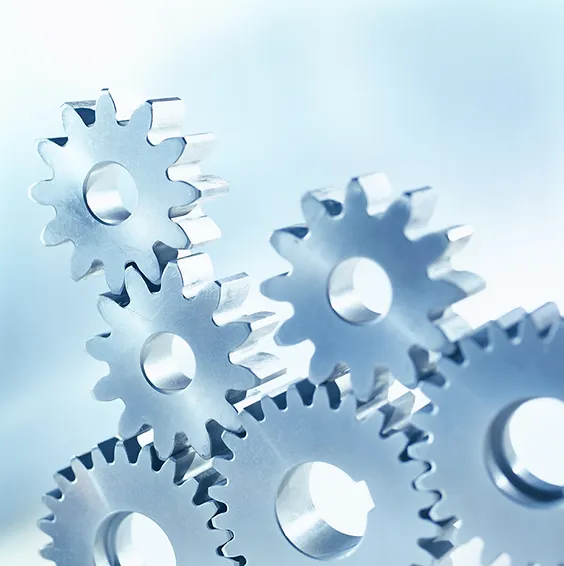 GRIFFOX_Florida_Business_Management_Consulting_Customer_Service_Training_Sales_Integration