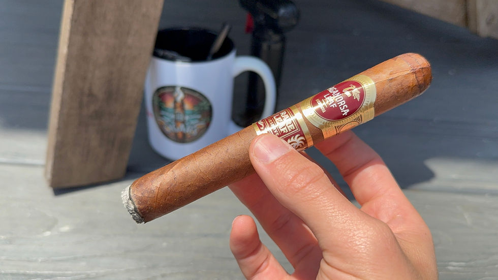 Hand holding a cigar labeled “RARE LEAF.” Background shows a white mug with a colorful design and wooden textures. Sunlit, casual setting.