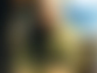 ポニーエクスプレスonline No.44 ~5つのカン~