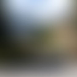 Campus Universitario en Nueva Zelanda