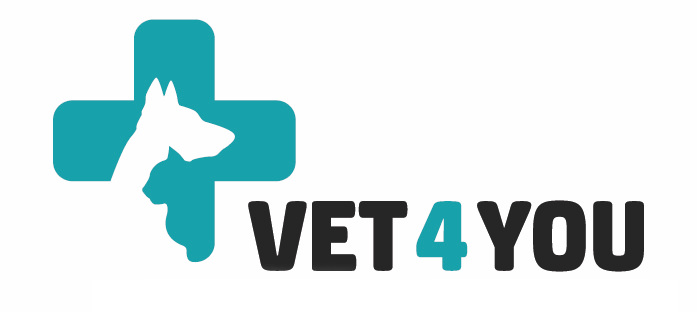 VET4YOU