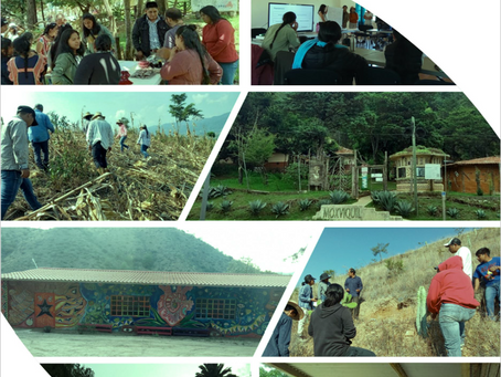 Sergio Enrique Hernández Loeza y José María Soto Recio, "Educación superior rural para construir mundo de otro modo...", artículo publicado en Revista dialógica intercultural, 5, 2025.