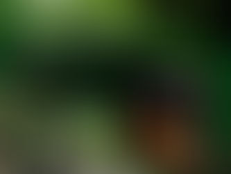 Claudia Rocha, Mariana Pascual y Pablo Mancilla presentarán el libro de este último, "Entre difuntos y disfrazados. Catálogo digital de máscaras...", noviembre 2, Jardín Escultórico Las Pozas, S.L.P.