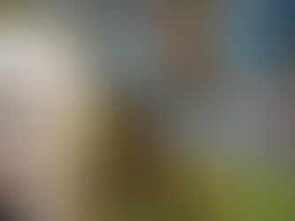 Luisa Villani, “Chakganá, el Pescador. Un personaje perdido en la Danza de los Voladores de la Sierra de Papantla”, en Arqueología Mexicana, núm. 196, 2026, pp. 62-65.