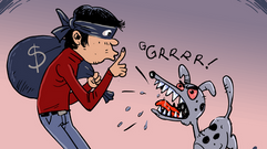 Preventing Student Activity Fund Theft