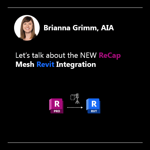 ReCap Mesh Revit Integration