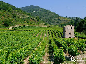 Drome-provencale-Les-vignobles-en-drome-