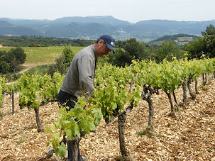 DSCF8787.JPG