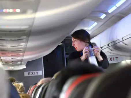 The U.S. Transportation Department is urging air passengers to be on good behavior