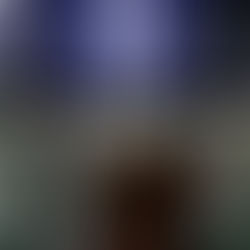 It’s all gravy: Thanksgiving air traffic to be normal after US government reopens