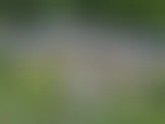 Infrastructure Crisis Undermines Rail Renaissance Ambitions