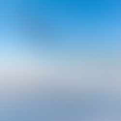 Another major airline cancels all flights to the U.S.