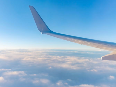 Another major airline cancels all flights to the U.S.