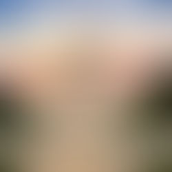 U.S. AVIATION SAFETY LEGISLATION: ONE VOTE SHORT