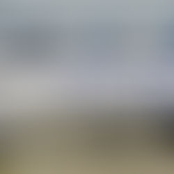 United Airlines Grounds 600 Flights in Risky Tech Gamble