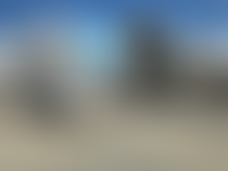 GlobalX Airlines defies cargo trend with fleet strategy