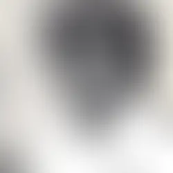 Lt. Commander Brenda Robinson: Inspiring The Next Generation of Aviators