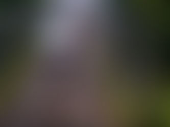 Europe's High-Speed Rail Dream Confronts Infrastructure Reality