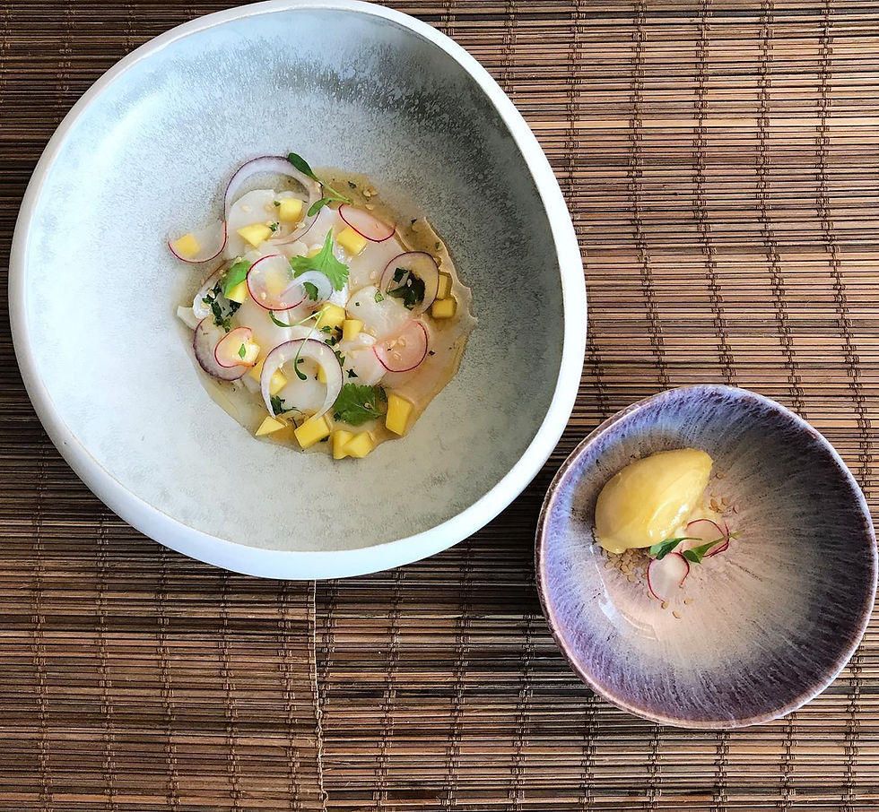Zander Ceviche mit Mango