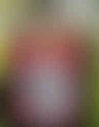 Hand painted rodeo queen vest with turquoise chunks