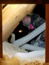 insulation-removal.jpg